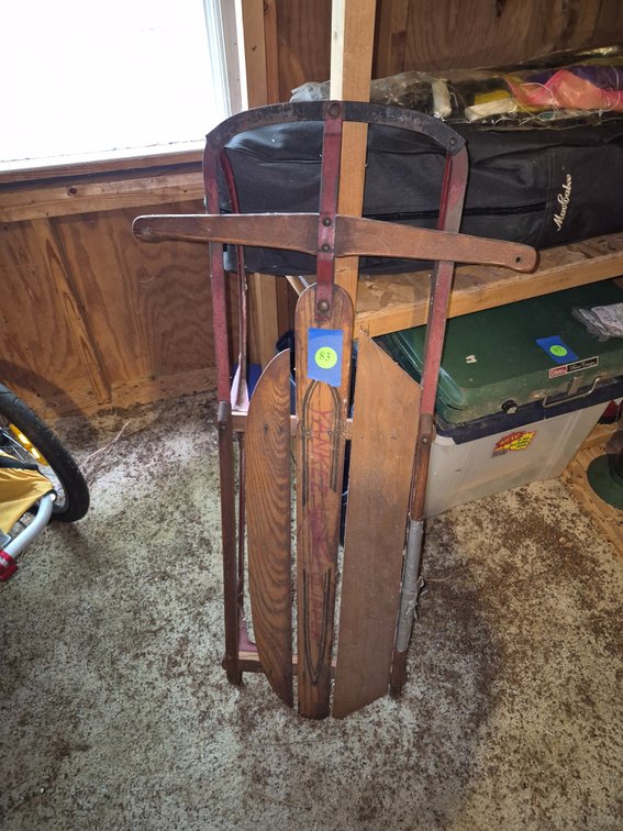 Childs sled