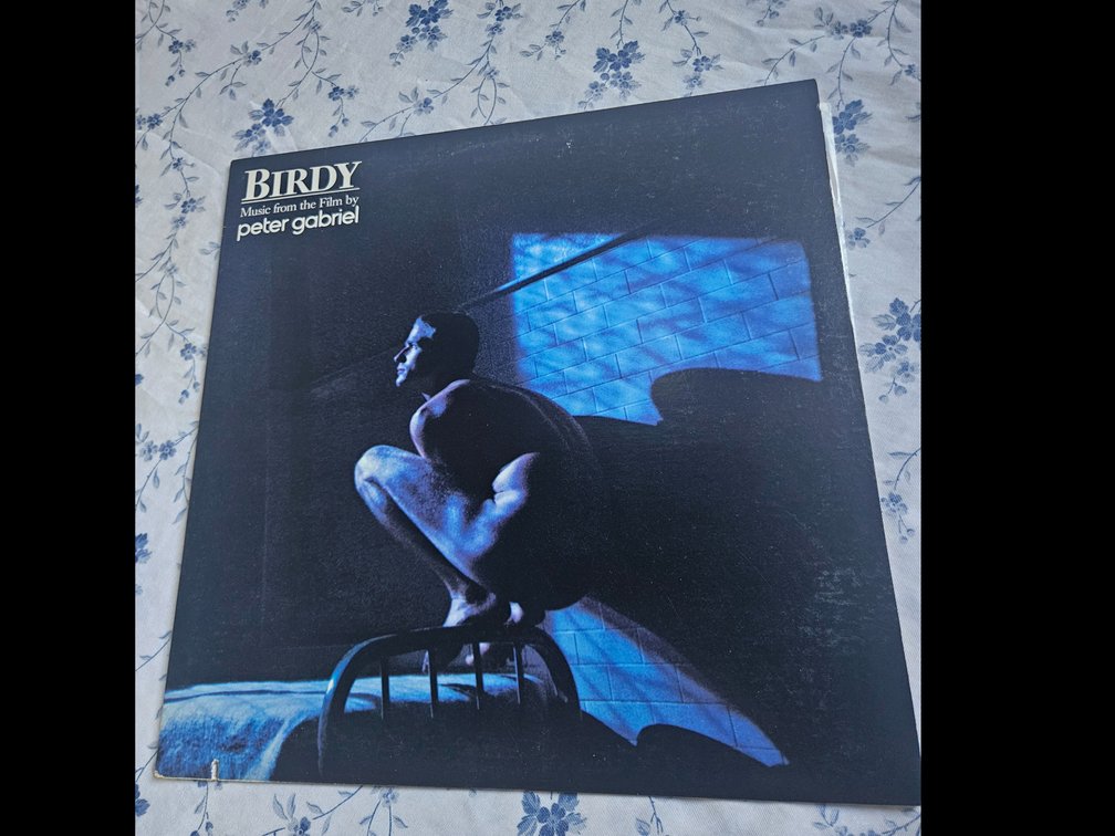 Peter Gabriel - Music from the film Birdy - LP ca. 1985