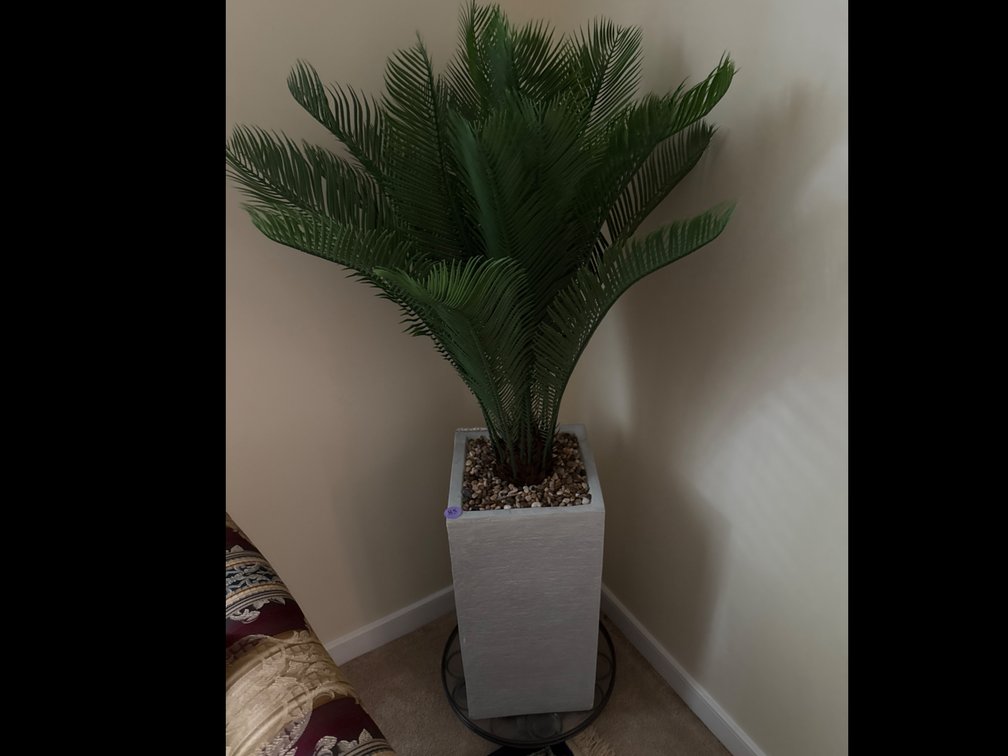 Faux Palm Plant in Resin Pot with rolling stand 