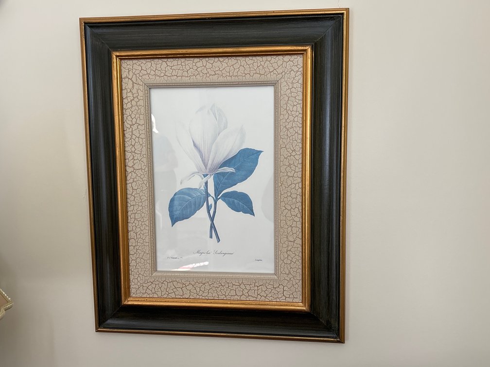 Framed and matted botanical prints; 18” x 23”