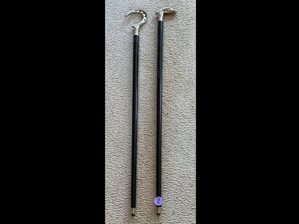 Walking Canes with Decorative Metal Handles