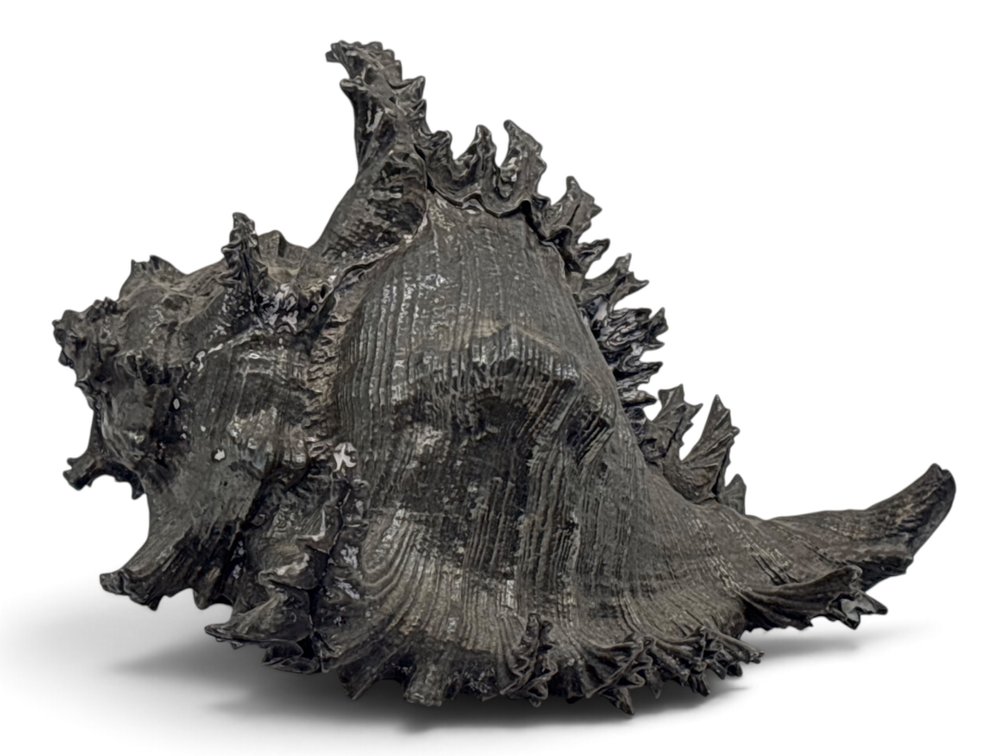 Sterling Mounted Oversized Seashell