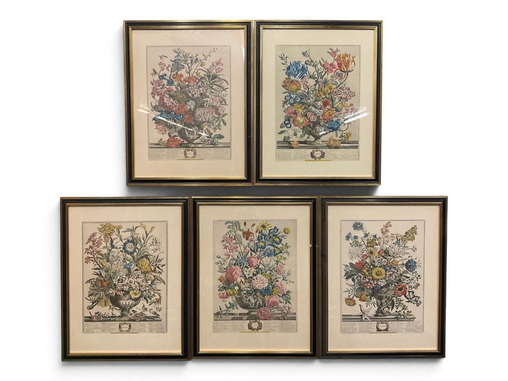 Five Prints After Robert Furber “Twelve Months of Flowers”