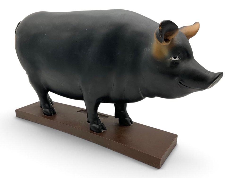 Composite Figure of a Hog