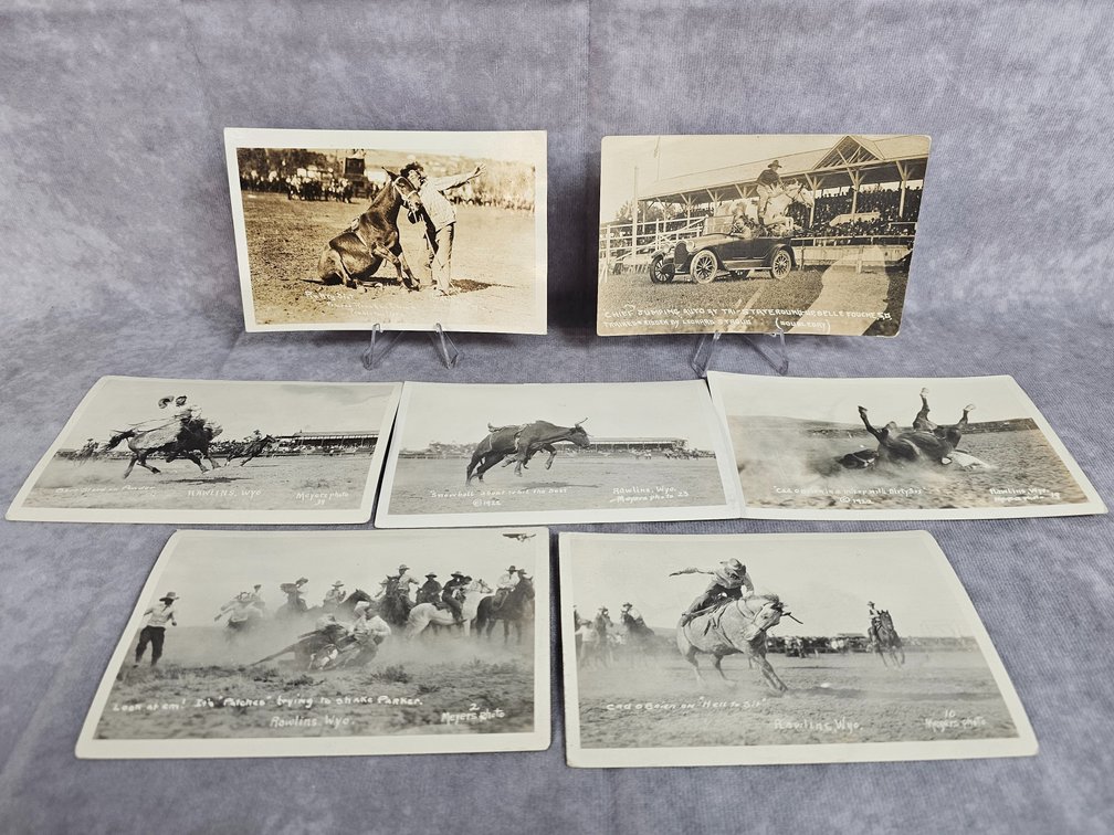 Rodeo Clowns & Riders