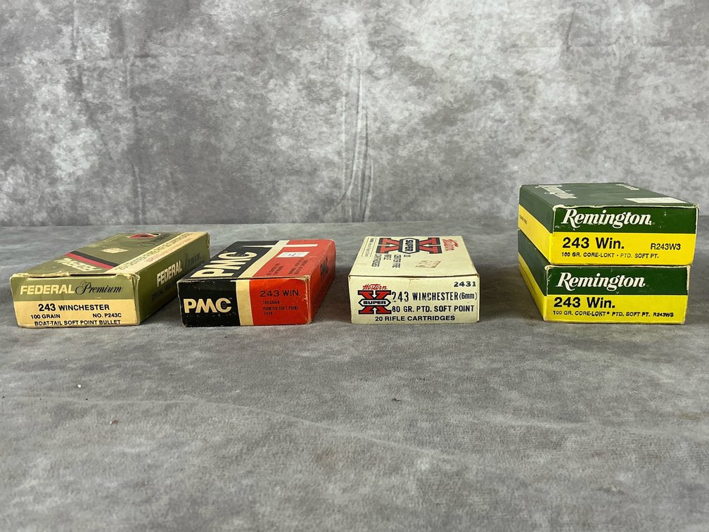 Federal PMC Western Remington .243 Ammunition