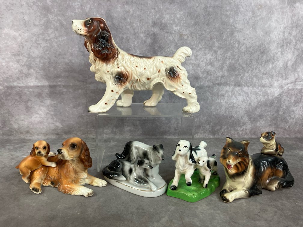 Dog Families