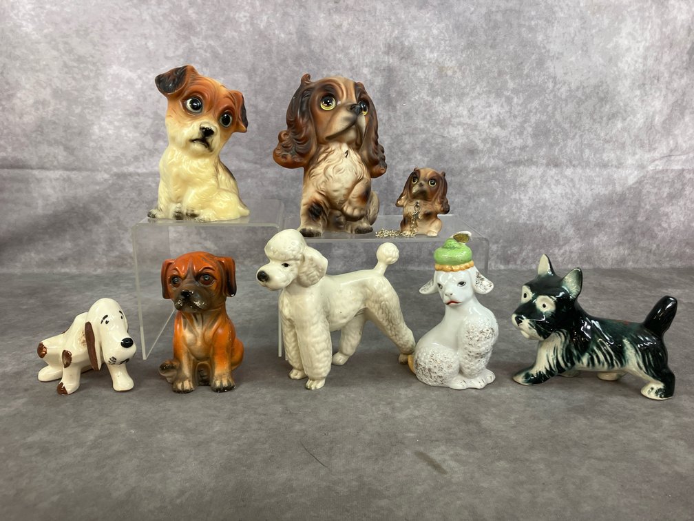 Dog Collection