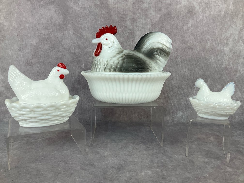 Hens on Nest
