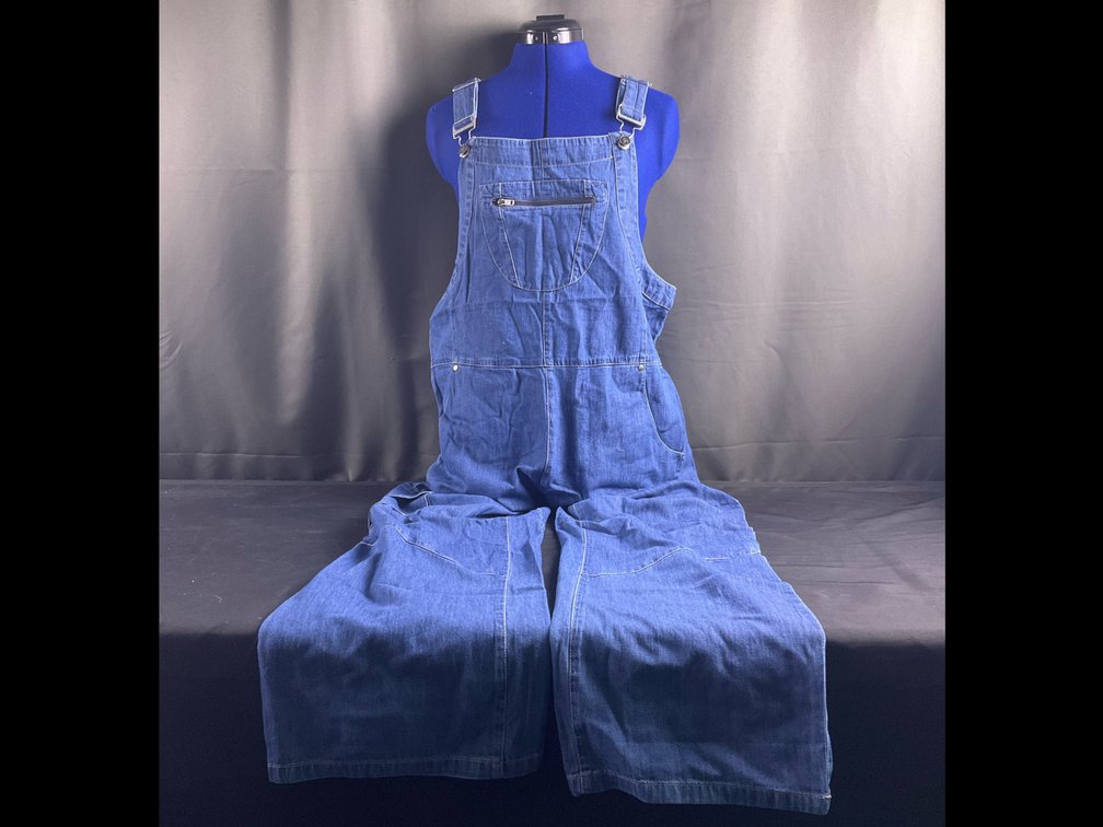 Backcountry Denim Overalls