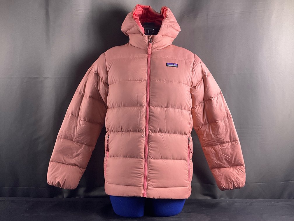 Patagonia Hooded Down Puffer Jacket