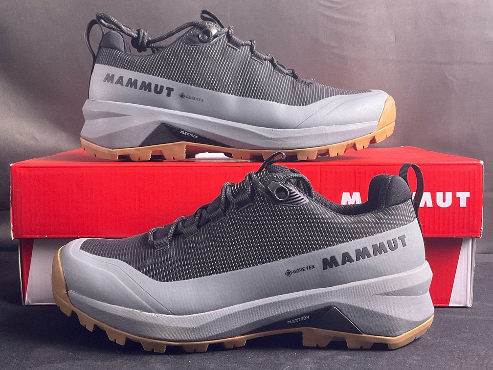 Mammut Ducan III Low GTX Hiking Shoes