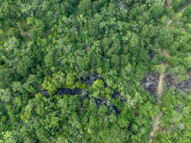 Image for LIVE AUCTION - Selling 117 Acre Tax Foreclosure Resale Property on Behalf of the City of Dallas