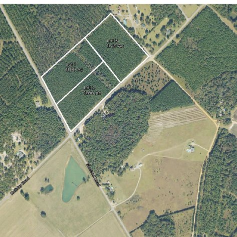 Image for LIVE AUCTION - 683 Acres in Laurens County, Georgia