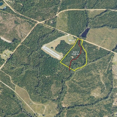 Image for ONLINE AUCTION - 109.05 Acres in Laurens County, Georgia