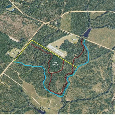 Image for ONLINE AUCTION - 109.05 Acres in Laurens County, Georgia