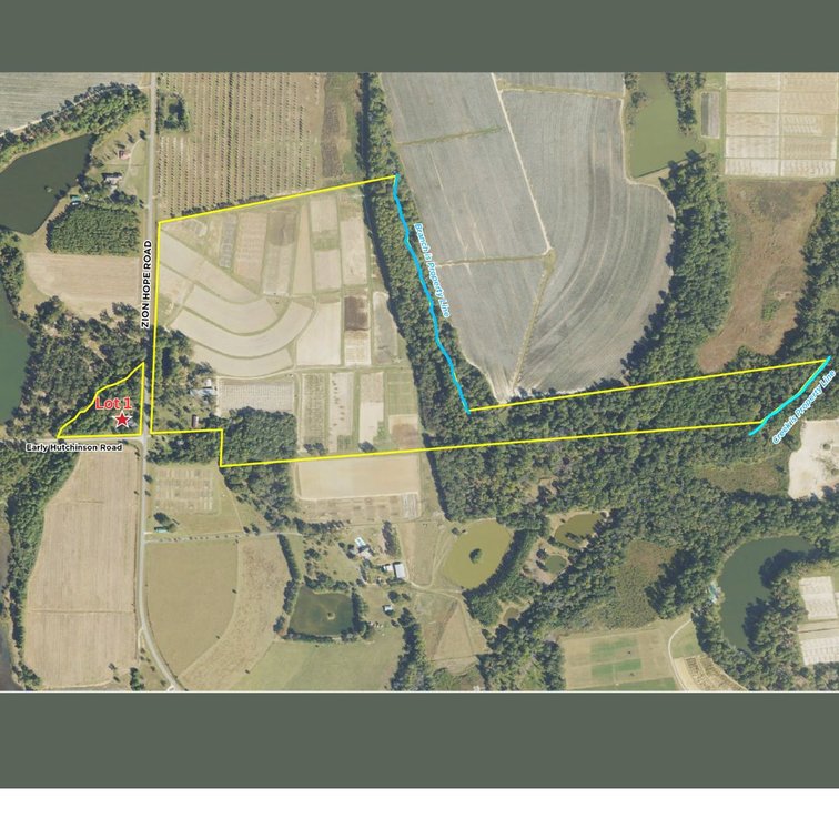 LOT 1 - 3.3 Acres and home on Zion Hope Road
