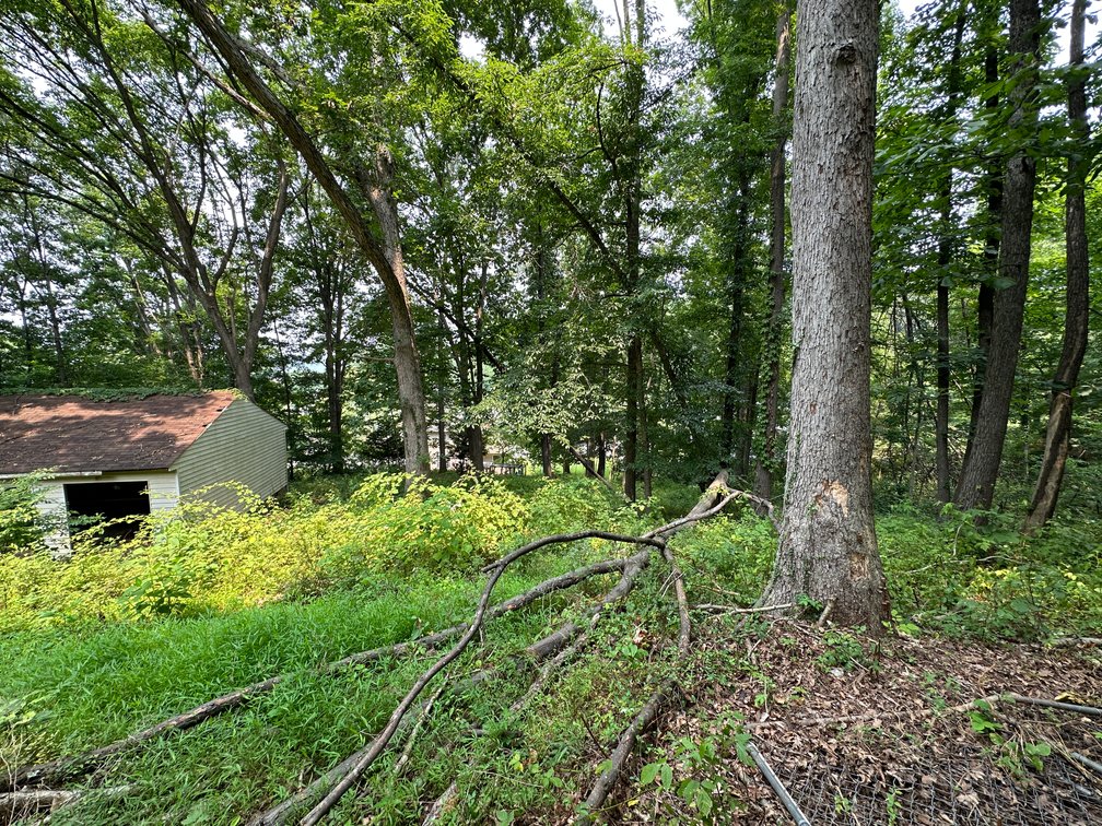 Image for Selling for the Estate of  Geoffrey Peterson . 3 Bed / 2 Bath 2247 Sq. with a large unfinished basement .