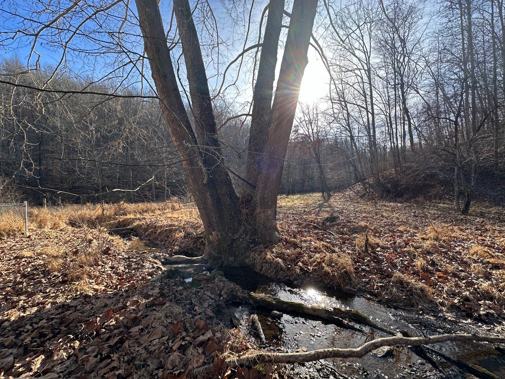Image for 3 Bed / 2 Bath Home on +/-88 Acres (2 Parcels) : 512 Walters Run, West Union, WV 26456