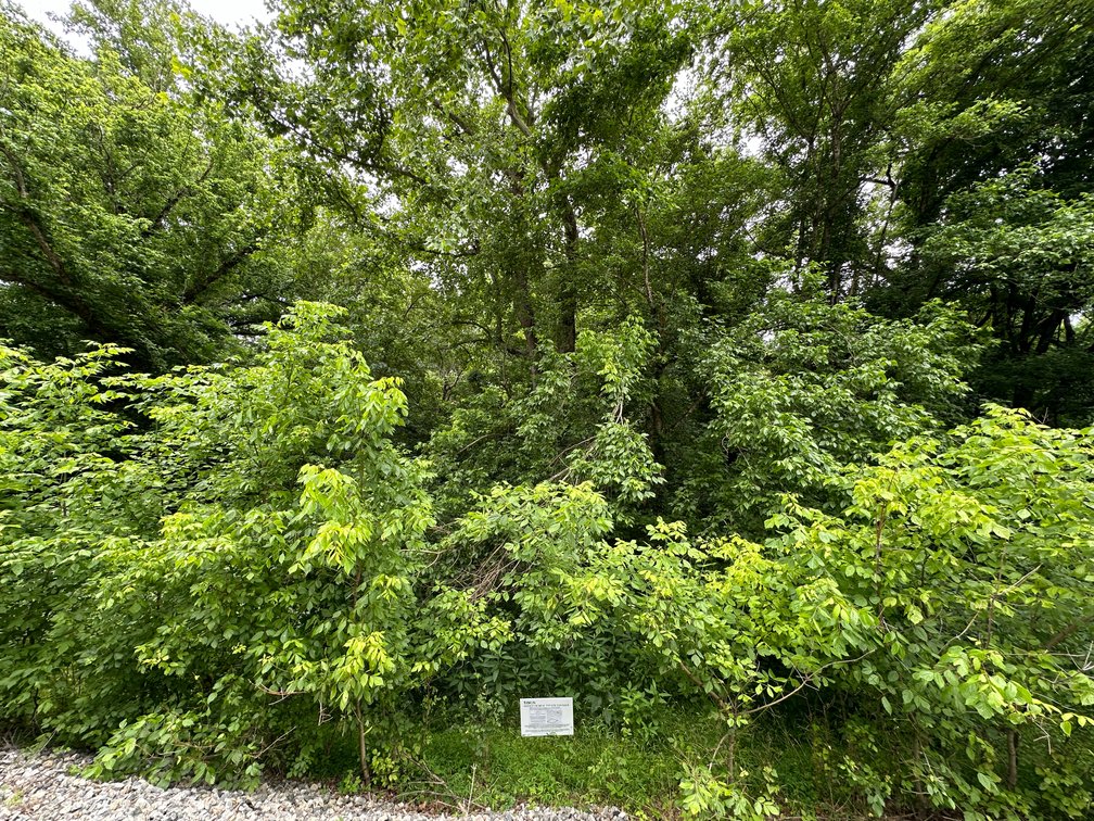 Image for Botetourt County - Sale of Tax Delinquent Real Estate