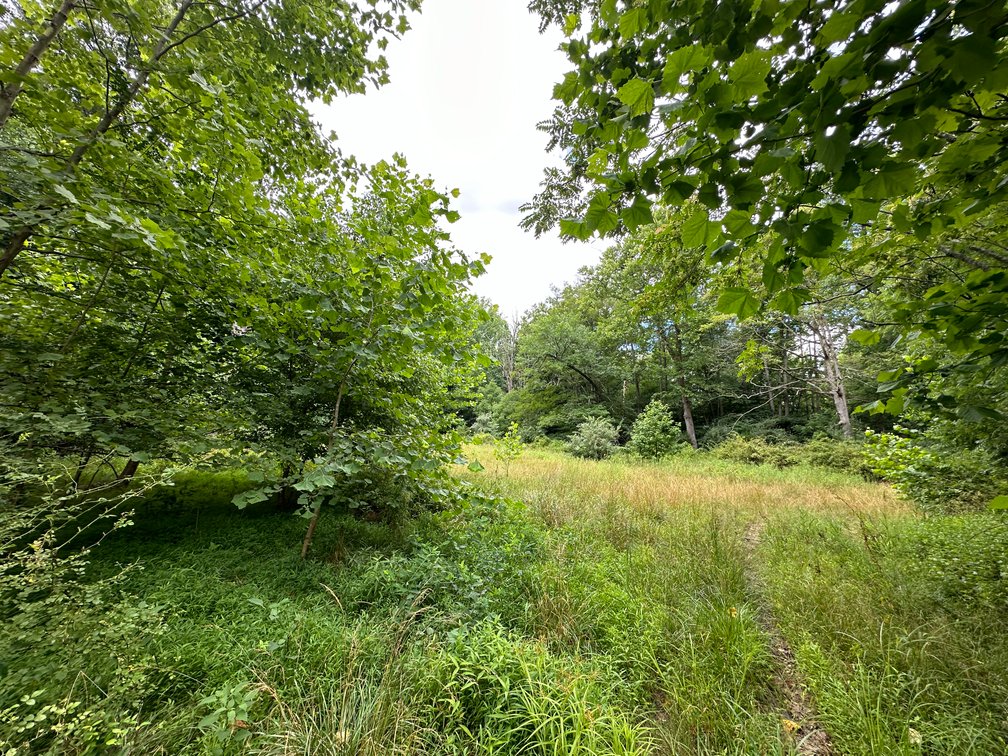 Judicial #10 (VH Venture LLC) Parcel GPIN: 7893-86-1937, TACS# 845862,  2 Acres +/- Vacant Lot, 12232 Purcell Rd. Manassas, Va