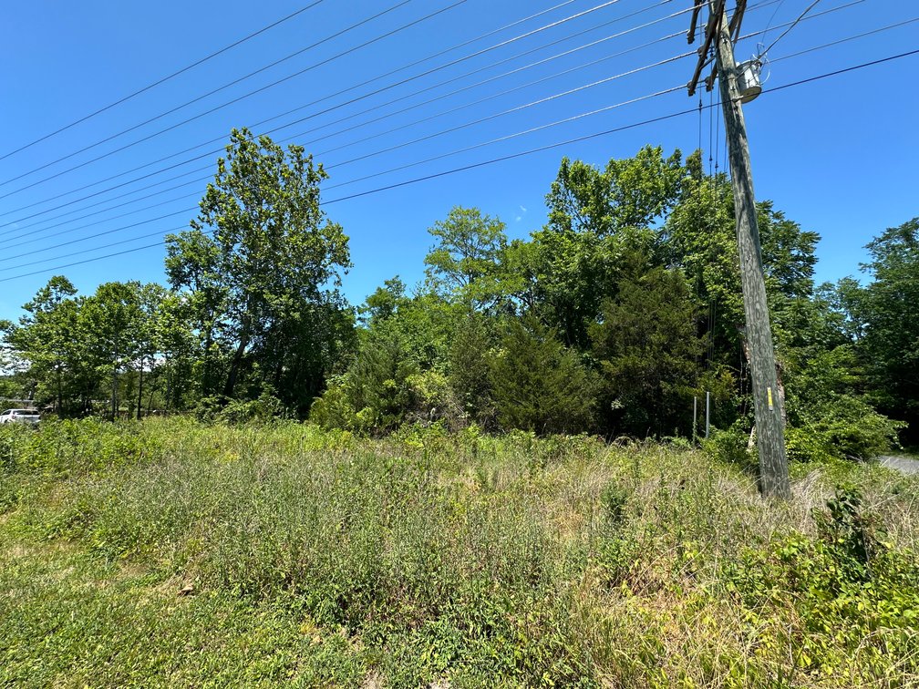 Judicial #11 (Amanda H. Dade) Parcel GPIN: 7198-73-7609, TACS# 845878,  .42 Acres +/- Vacant Lot, 16312 John Marshall Hwy. Broad Run, Va 20137