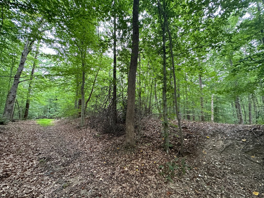 Judicial #14 (Dora R. Popel Gebo Estate)) Parcel GPIN:8189-27-5586, TACS# 845861,  2 Acres +/- Vacant Lot,  16221 Batestown Rd. Dumfries, Va 22025