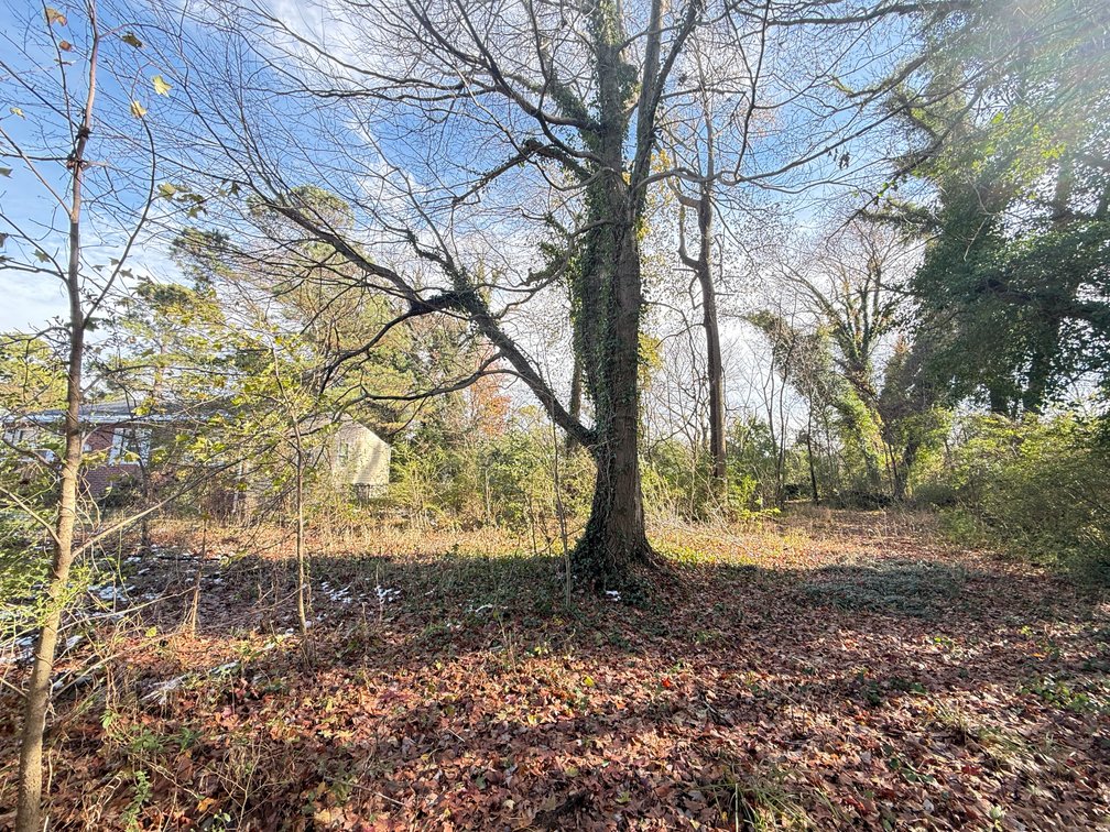 Judicial #5 (Old Buckroe Heights Corp) PID: 12002751 AND 12002752, TACS# 1112647, Vacant Lots- 212 and 218 W. Sherwood Avenue. Hampton Va 23663