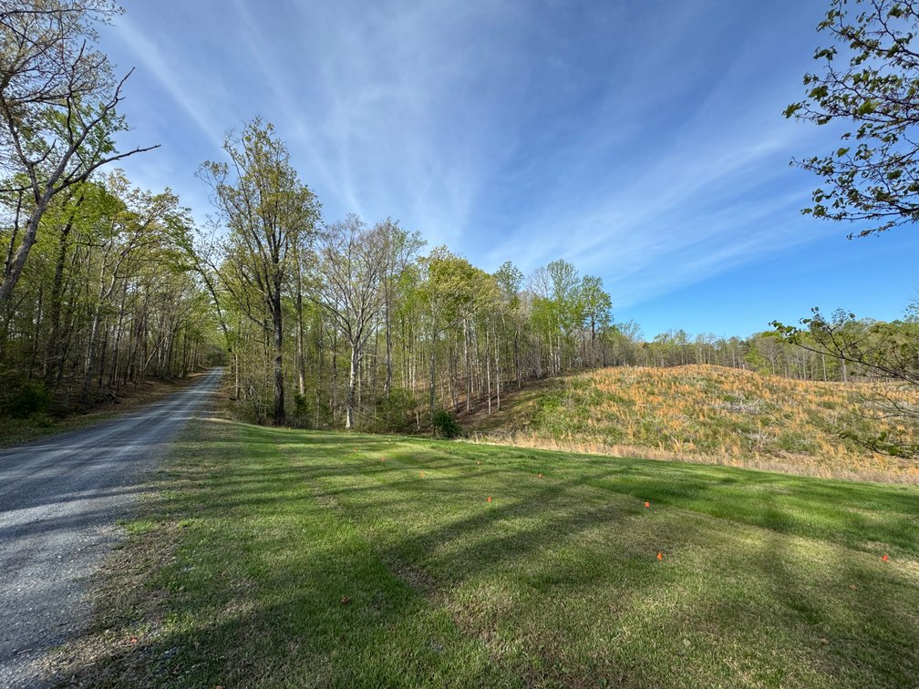 Image for Four Parcels in Cumberland & Nelson Counties, Virginia