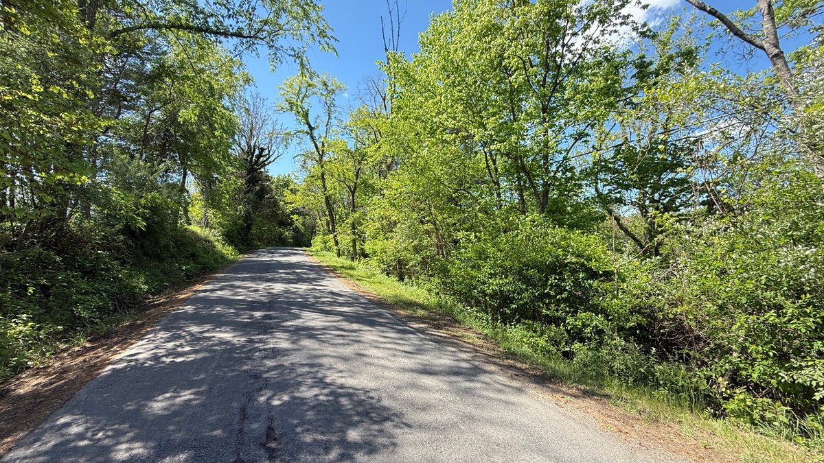 Image for Botetourt County - Sale of Tax Delinquent Real Estate