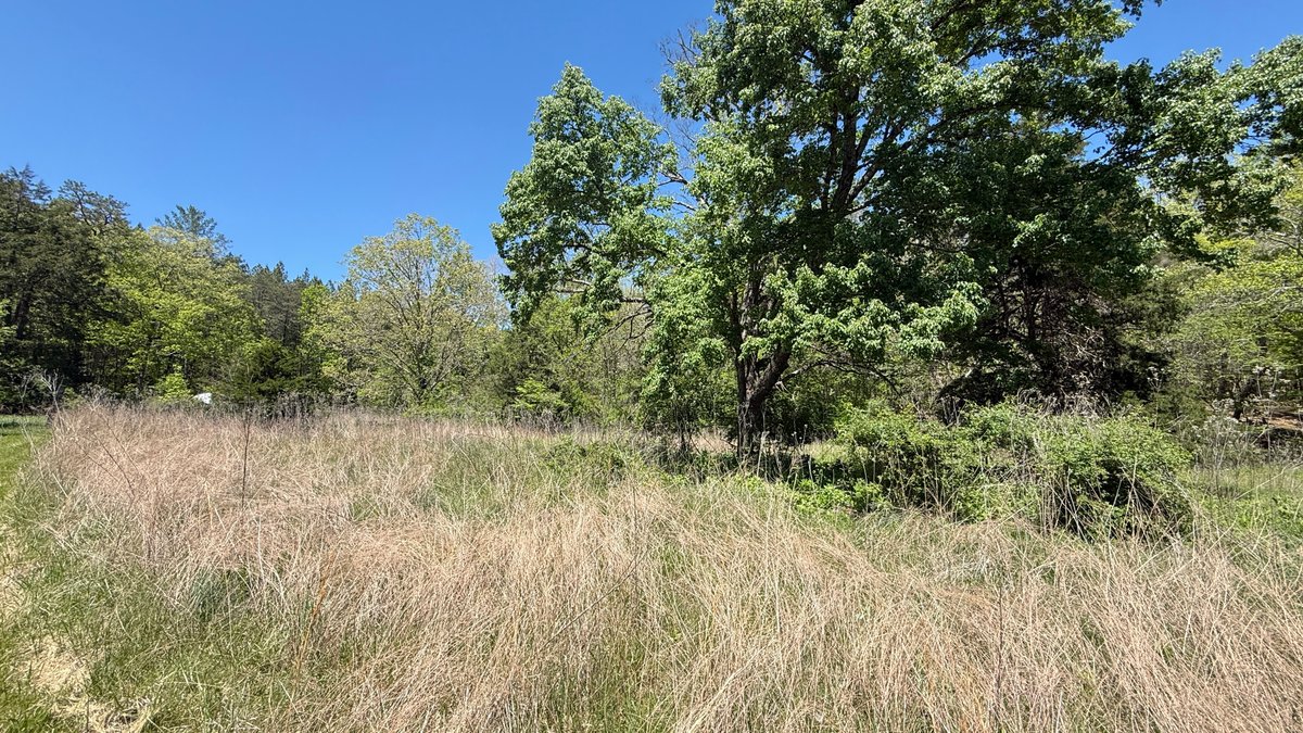 Image for Botetourt County - Sale of Tax Delinquent Real Estate