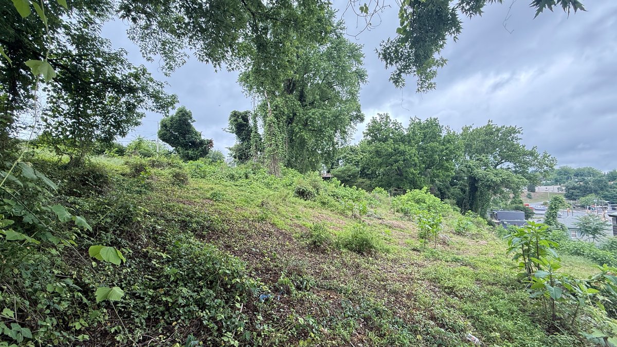Image for City of Martinsville, Va Sale of Tax Delinquent Real Estate