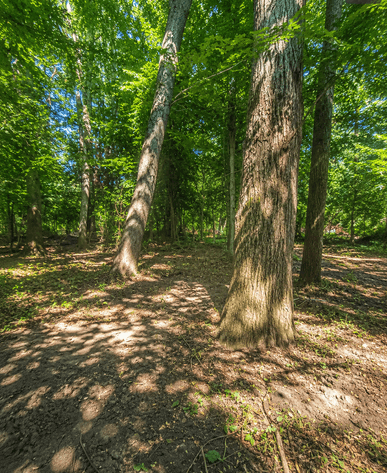 Image for Shovel-Ready Building Lot in Fairfax County — Fully Approved Septic & Well Permits Already Secured