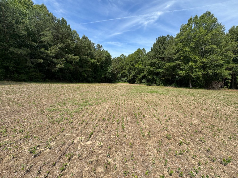 Image for 3bd /1bth , 1440 Sq. on 14 Acres -   26276 The Trail, Mattaponi VA 23110,