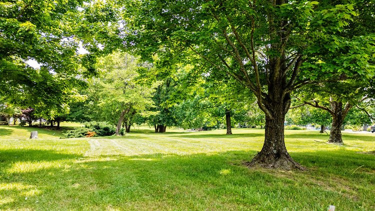 Image for 2.24± Acre Mountain Hollow Homesite in Albemarle County, VA — Soils Tested & Septic-Approved for a 4-Bedroom Home