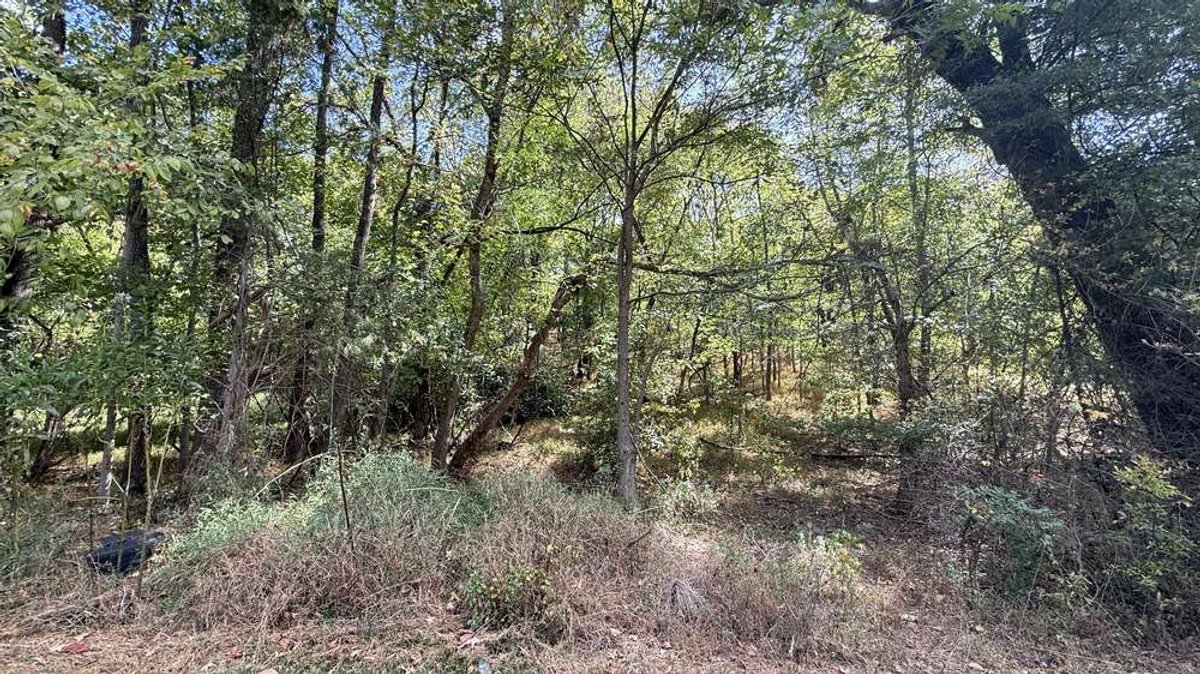 Judicial #2 (JR Investments, LLC) PID: 50185; 60513; and, 60514, TACS # 119821, Vacant; Banner Street, Danville 24541