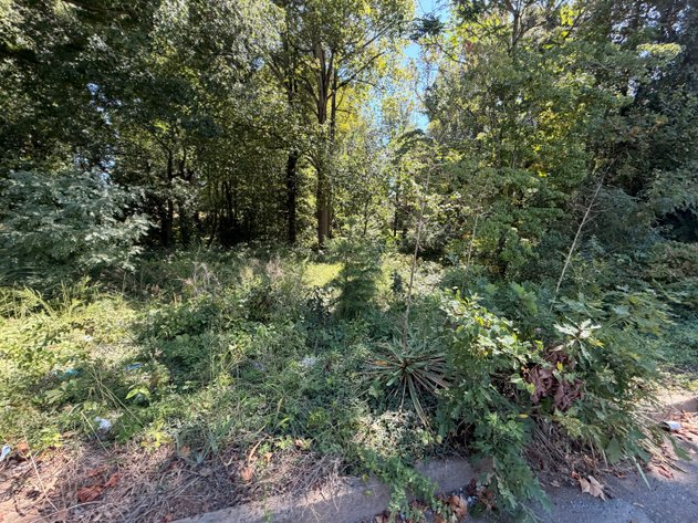 Image for City of Martinsville, Va Sale of Tax Delinquent Real Estate