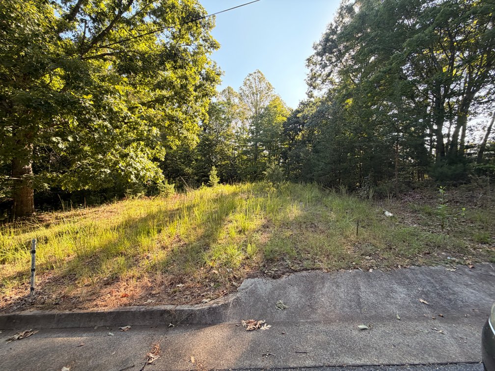 Non Judicial #6 (Phillip C. Hairston) PID: 000578300, TACS # 658771, Vacant; Banner Street, Martinsville 24112