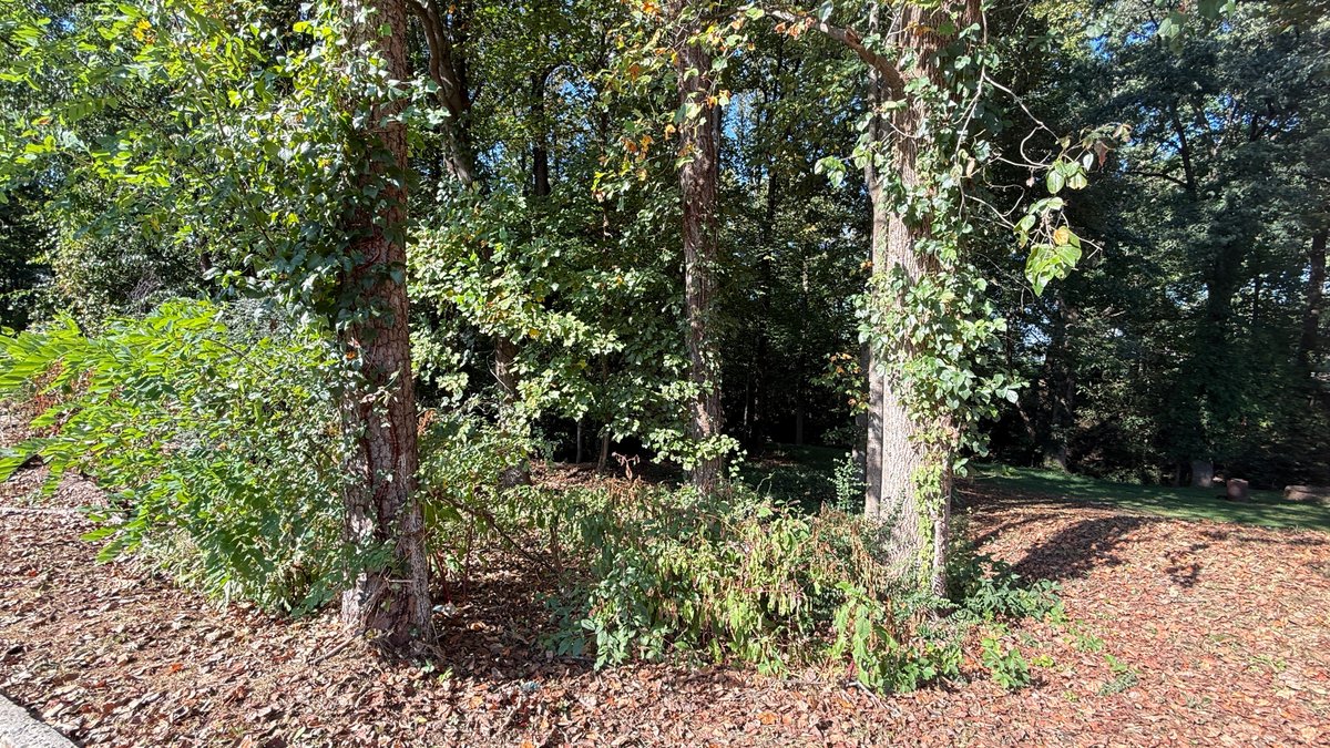 Judicial #2 (Maggie Forestine Grant)) , Tax Map 39 (02 )00/263 , Account# 000598200, TACS#43375,  vacant Lot  .0.248Acres +/- , Vacant; 400 Fifth Street, Martinsville 24112