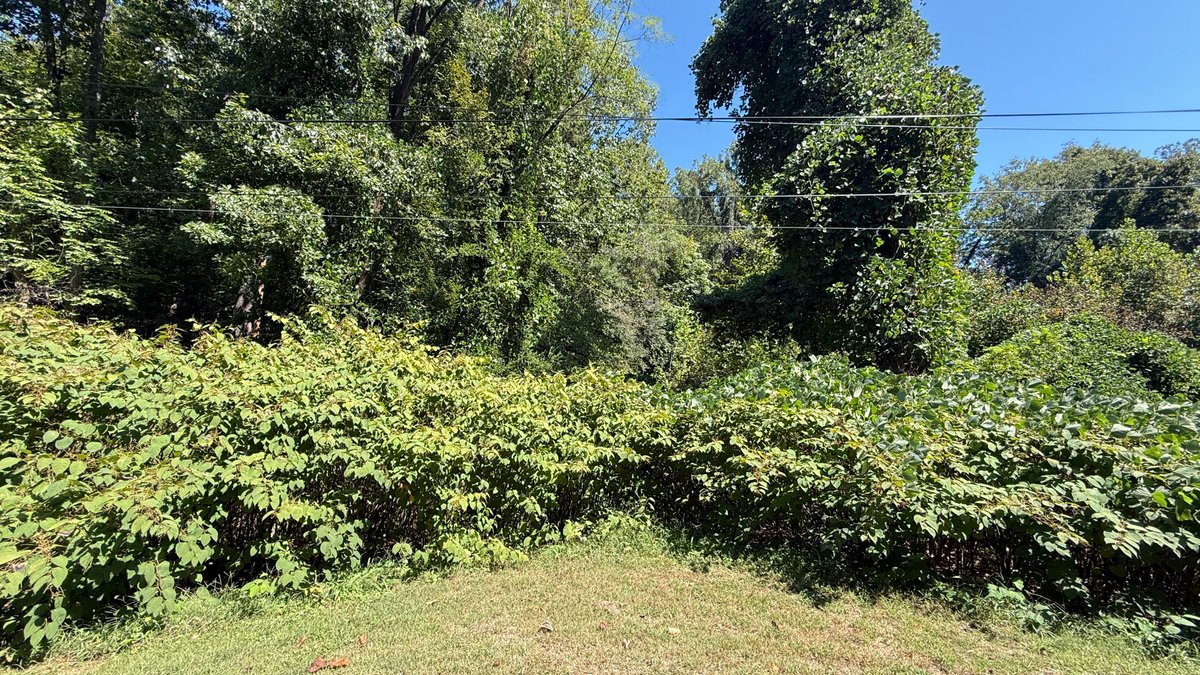 Judicial #11 (Forest Hills Recreation Enterprises, Inc.) , Tax Map 55 (03 )46/30A,  Account#000227700, TACS# 658905,  Vacant Lot  2.959 Acres +/- , 763 Indian Trl. Martinsville, Va 24112