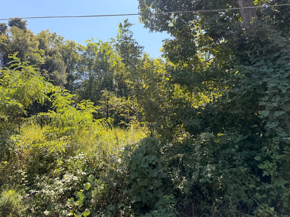 Non Judicial #15 (Bonnie Adams Martin) PID: 000613600, TACS # 33960, Vacant; C Street, Martinsville 24112