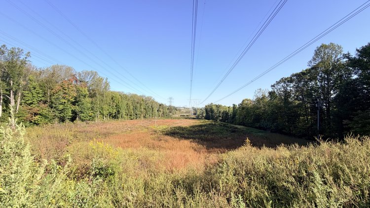 Image for Prince William County , VA - Sale of Tax Delinquent Real Estate