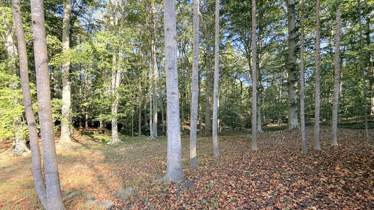 Image for Prince William County , VA - Sale of Tax Delinquent Real Estate