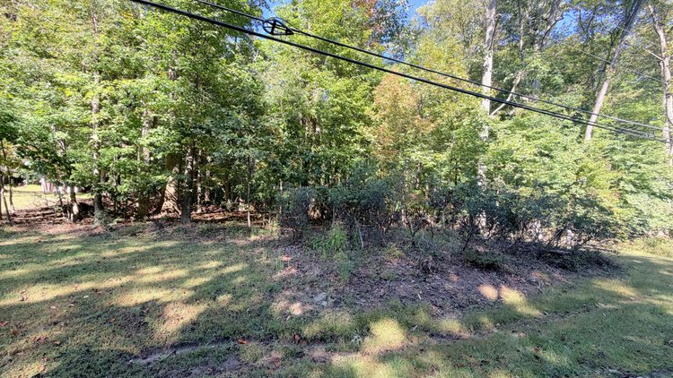 Image for Prince William County , VA - Sale of Tax Delinquent Real Estate