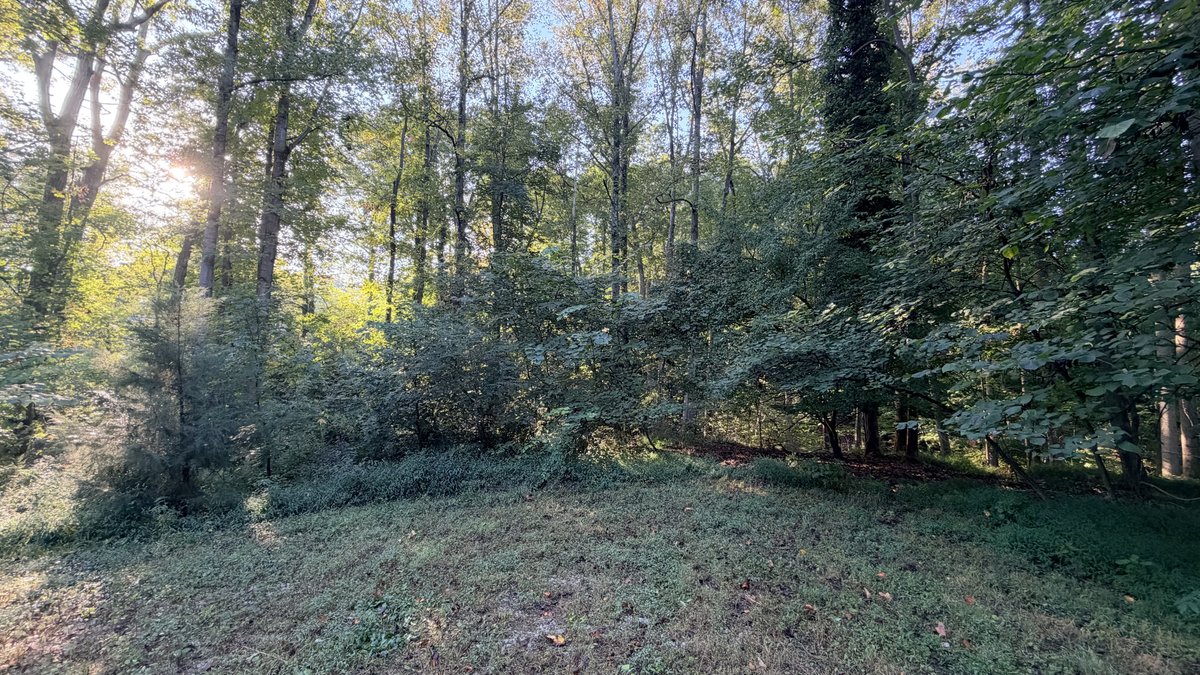 Judicial # 4 ( Stonewall Manor LLC) Parcel Tax Map: 8288-35-0909, TACS#1023943,  .63 Acres +/-  Vacant Land,  ZONING Suburban Residential, 18428 Cedar Dr., Triangle VA 22172