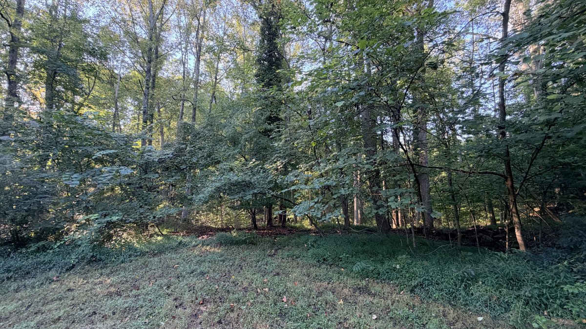 Judicial # 6 ( Stonewall Manor LLC) Parcel Tax Map: 8288-25-9512, TACS#845873, 0.4686 Acres +/- Vacant Land, ZONING Suburban Residential, 18426 Cedar Dr., Triangle VA 22172