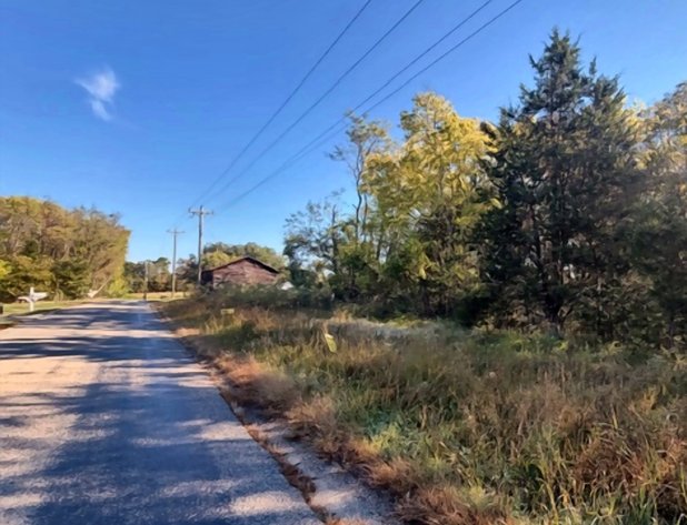 Image for Ready-to-Build Nottoway County Homesite — ±5.47 Acres