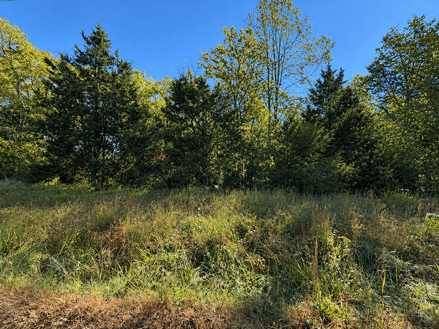 Image for Ready-to-Build Nottoway County Homesite — ±5.47 Acres