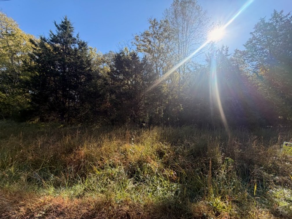Image for Ready-to-Build Nottoway County Homesite — ±5.47 Acres