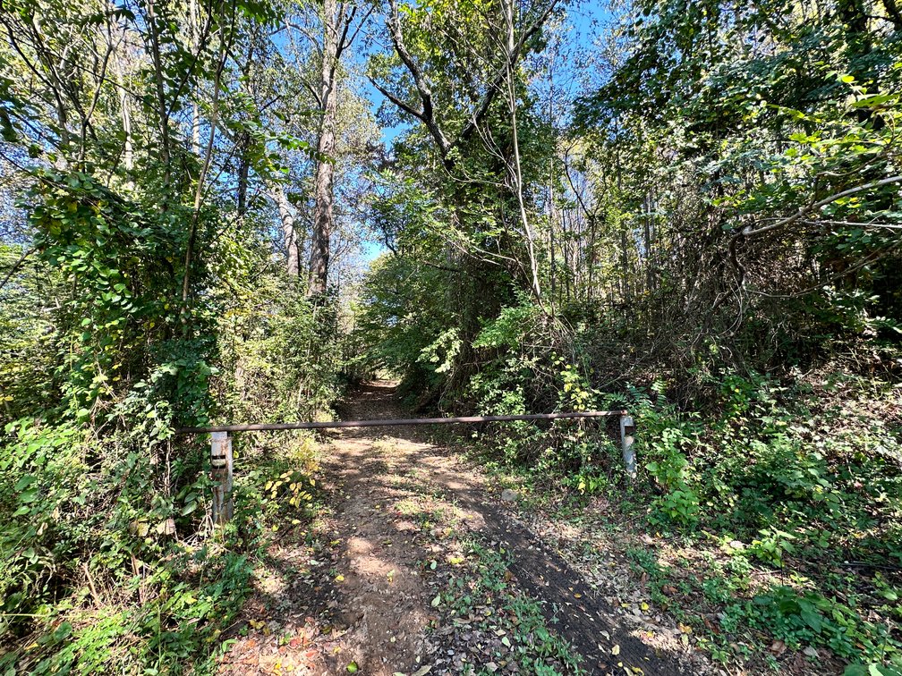 Image for 33.25 Acres with 5 Division Rights in Albemarle County. 5885 Brush Mountain Trl